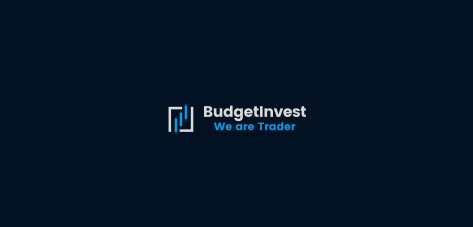Брокер Budget Invest (Баджет Инвест) - обзор лохотрона, честные отзывы, разоблачение афериста | Stablereviews Брокер Budget Invest (Баджет Инвест) - обзор лохотрона, честные отзывы, разоблачение афериста | Stablereviews : https://stblreviews.com