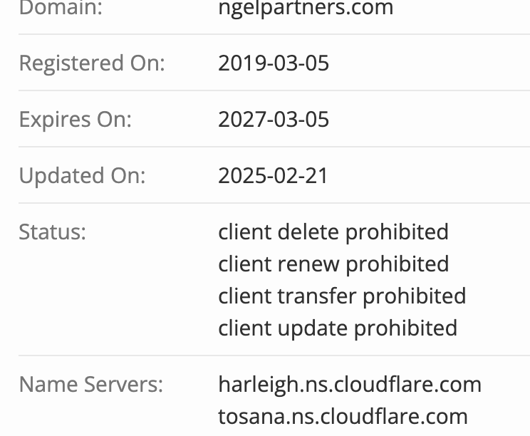 домен Ngel Partners
